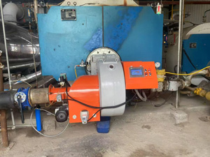 ��¯���͵�����